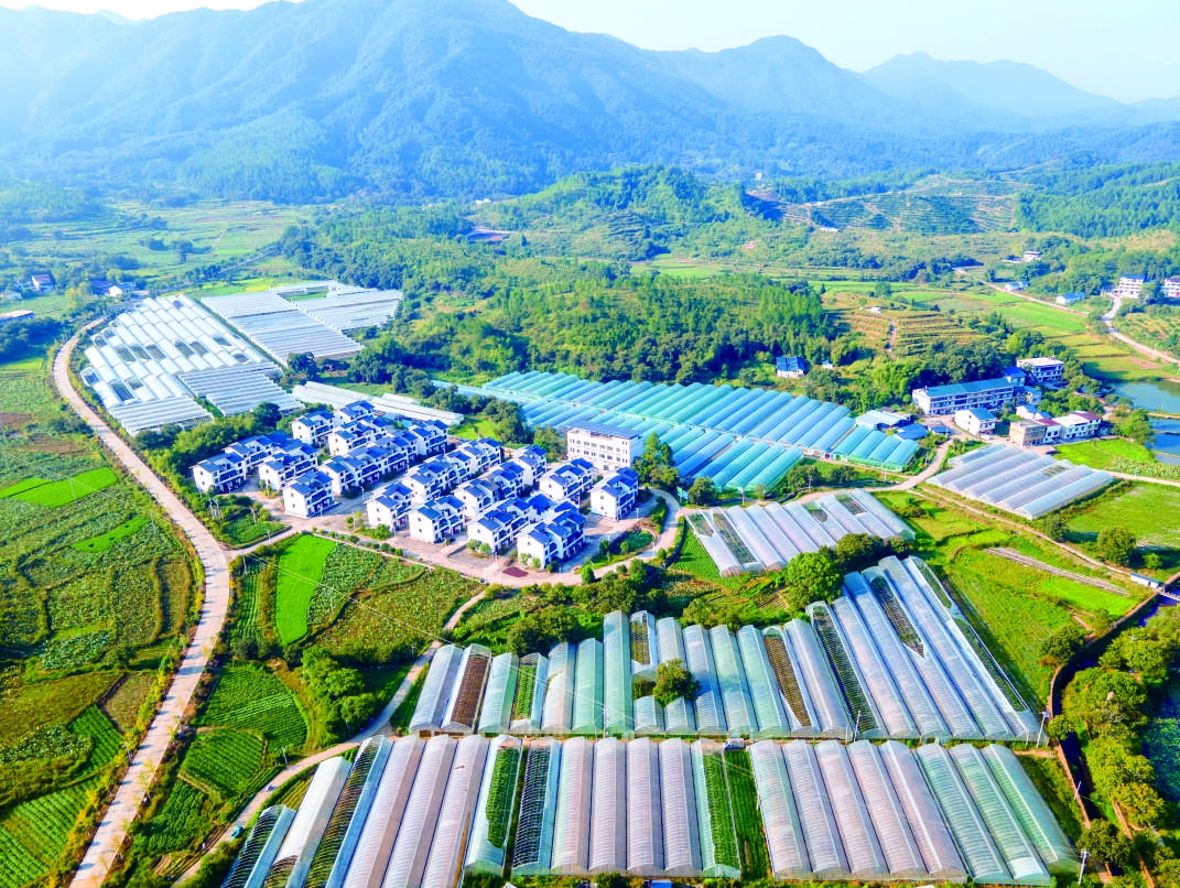 瑞金日東鄉(xiāng)：立足資源稟賦 發(fā)展特色產(chǎn)業(yè)